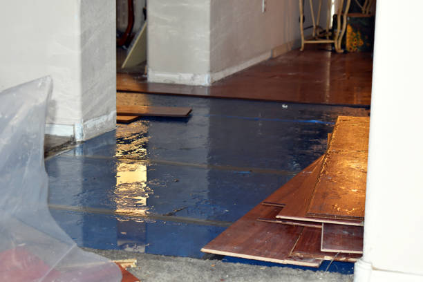 Professional Emergency Water Damage Restoration technician working in Walpole, MA